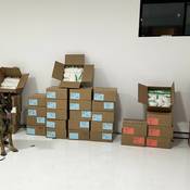 SQ police dog in front of seized drugs.