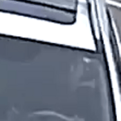 White truck/camion blanc