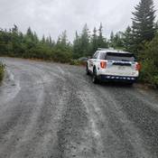 A Bay Roberts RCMP vehicle stopped on the right shoulder of a gravel roadway. A dark coloured vehicle is seen in the wooded area just beyond the police vehicle