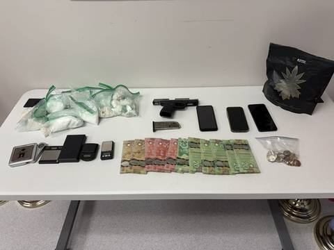 Drugs seized